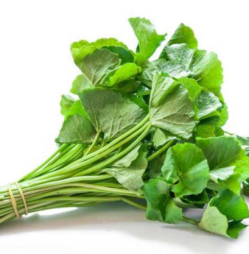 රුපලාවන්ය ශිල්පිනියන්ගෙන් සහ වෙදදුරන්ගෙන් ඔබ ඈත් කර තබන හිතවතා -ගොටු කොළ