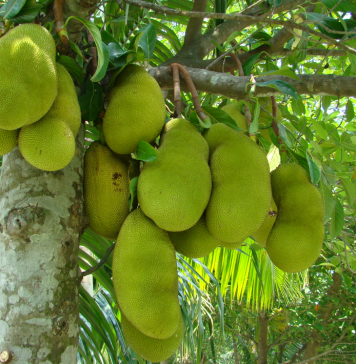 පොළොස් අච්චාරුව