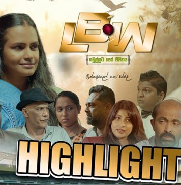 ලංකාවේ ක්රිකට්, ‘හිට් විකට්’ කළ පාතාල ගේම හෙළි වේ.. – Saru News | සිංහල