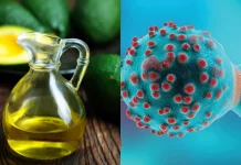 රුව වඩමින් පිළිකා සමඟ සටන් කරන අලිගැටපේර තෙල්වල ගුණ