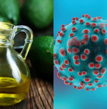 රුව වඩමින් පිළිකා සමඟ සටන් කරන අලිගැටපේර තෙල්වල ගුණ