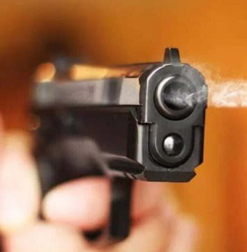 ‘ලොකු පැටී’ගේ සොහොයුරු ‘පොඩි පැටී’ඉලක්ක කර වෙඩි තැබීමක්