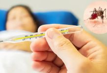 ඩෙංගු වලින් බේරෙන්න කල්තියාම සූදානම් වෙමු..