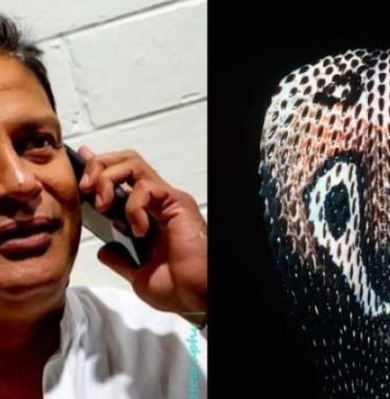 නැකත්පතින් ඉල්ලන් කෑ නයා තෙල් ගින්නක් අවුලුවන්න උත්සාහ කරලා – Saru News | සිංහල