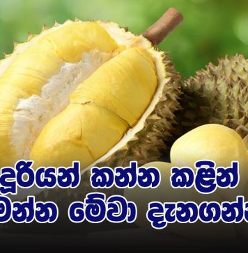 දූරියන් කන්න කළින් මෙන්න මේවා දැනගන්න!