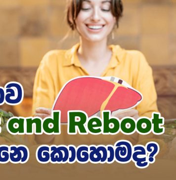 අක්මාව Rest and Reboot කරන්නෙ කොහොමද?