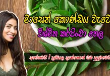 හිසකෙස් අකලට සුදුවීම වළකන ඖෂධීය තෙලක්