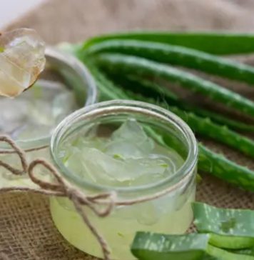 කෝමාරිකා වල තියන මේ ගුණ ගැන ඔබ දැන් සිටියාද?