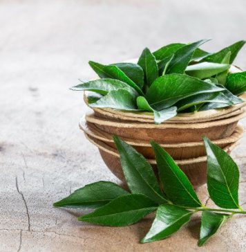 සිරුරේ තැන්පත් මේදය වේගයෙන් දහනය කරන කරපිංචා කැඳ.