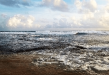 නාරිගම වෙරළ තීරයේදී හඳුනාගත් තෙල් තට්ටු පිළිබඳව බලධාරීන් පරීක්ෂණයක් අරඹයි!