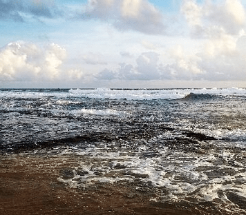 නාරිගම වෙරළ තීරයේදී හඳුනාගත් තෙල් තට්ටු පිළිබඳව බලධාරීන් පරීක්ෂණයක් අරඹයි!