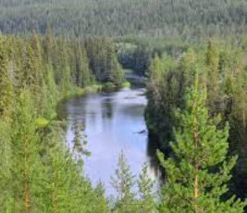 අපේ ලෝක ආර්ථිකයේ ‘රහස් එන්ජිම’: ජාත්යන්තර වනාන්තර දිනය (21) අදයි!