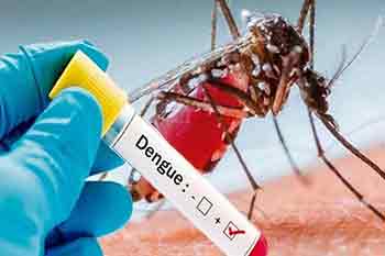 වසරේ මේ දක්වා කාලය තුළ ඩෙංගු රෝගීන් 13, 416ක්