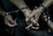 පුරාවස්තු සොයා කැණීම් කළ කාන්තාවක් ඇතුළු තිදෙනෙක් අත්අඩංගුවට