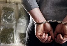 කුෂ් මත්ද්රව්ය තොගයක් සමග පුද්ගලයෙකු අත්අඩංගුවට