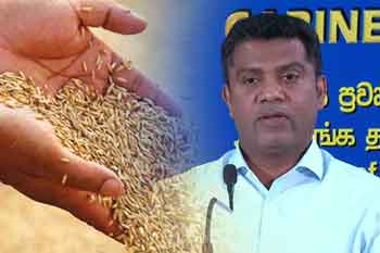 රජය වී මිලදී ගත් ප්රමාණය ඇමති නලින්ද හෙළි කරයි