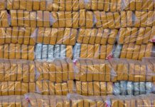 බේරුවල මහා පරිමාණ කොකේන් වැටලීම!