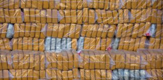 බේරුවල මහා පරිමාණ කොකේන් වැටලීම!