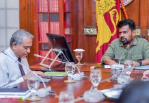 බලශක්ති ආර්ථිකය සංවර්ධනය කිරීමට විශේෂඥ කමිටුවක් – Saru News | සිංහල