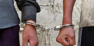 මීගමුවේදී ඉන්දුනීසියානුවන් 76ක් අත්අඩංගුවට