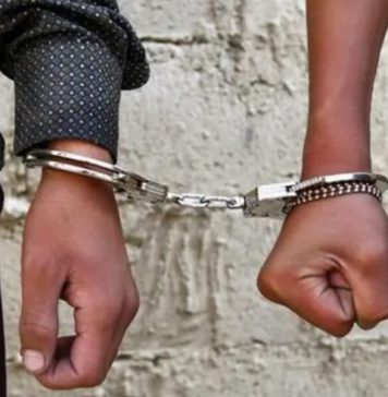 මීගමුවේදී ඉන්දුනීසියානුවන් 76ක් අත්අඩංගුවට