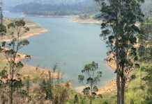 කාසල්රී, මාවුස්සාකැලේ හා කොත්මලේ ජල මට්ටම පහළට; විදුලි උත්පාදනයටත් අවදානමක්