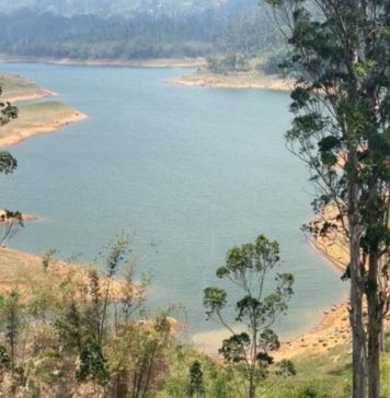 කාසල්රී, මාවුස්සාකැලේ හා කොත්මලේ ජල මට්ටම පහළට; විදුලි උත්පාදනයටත් අවදානමක්