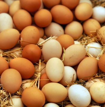 බිත්තර නිෂ්පාදනය පහළට