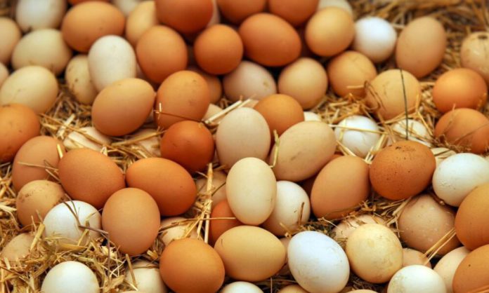 Eggs_1200x675px_10_10_25-1000x600.jpg