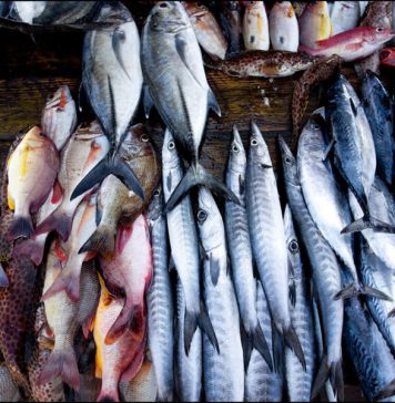 අවුරුද්දට සහන මිලට මාළු