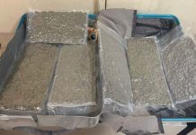 කෝටි දෙකකට අධික කුෂ් මත්ද්රව්ය තොගයක් කටුනායක දී හසුවෙයි