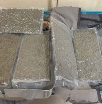 කෝටි දෙකකට අධික කුෂ් මත්ද්රව්ය තොගයක් කටුනායක දී හසුවෙයි