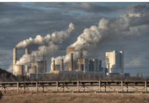 මේ එන පීඩනය අපේ කර්මාන්තකරුවන්ට සහ පාරිභෝගිකයින්ට දරාගන්න අමාරුයි – ඛනිජ තෙල් නීතිගත සංස්ථාවේ හිටපු සභාපති