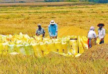 ගොවීන්ට QR කේතය නැතුව ඉන්ධන ලබාගන්න අවසර