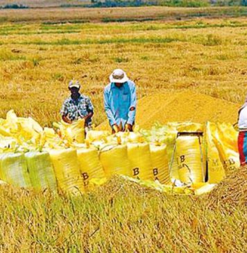 ගොවීන්ට QR කේතය නැතුව ඉන්ධන ලබාගන්න අවසර