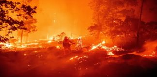 එක්සත් ජනපද ඉතිහාසයේ දරුණුතම ලැව්ගිනි මාලාවකුත් පැතිරෙයි… – Saru News | සිංහල