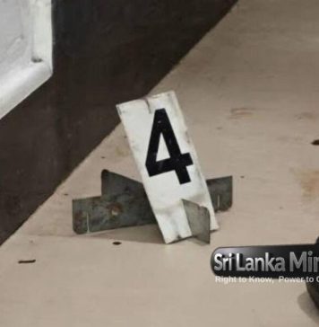 චීන කතක් තියුණු ආයුධයකින් පහරදී මරාදාලා