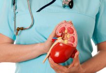 ලෝක වකුගඩු දිනය අදයි