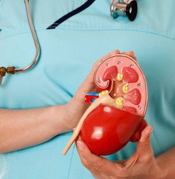 ලෝක වකුගඩු දිනය අදයි