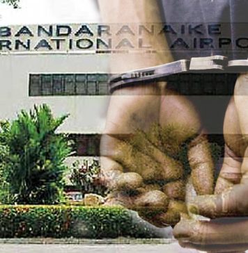 කුෂ් සහ හෂීස් කිලෝ 11ක් සමඟ සැකකරුවකු කටුනායක ගුවන් තොටේ දී අත්අඩංගුවට – Saru News | සිංහල