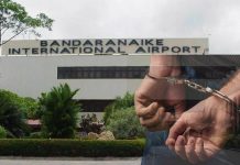 කුෂ් සහ හෂිස් කිලෝ 11ක් සමග සැකකරුවෙකු කටුනායකදී අත්අඩංගුවට