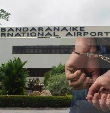 කුෂ් සහ හෂිස් කිලෝ 11ක් සමග සැකකරුවෙකු කටුනායකදී අත්අඩංගුවට