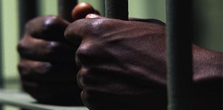 මෝටර් රථ ප්රවාහන දෙපාර්තමේන්තුවේ හිටපු නිලධාරීන් 03 දෙනෙකු අත්අඩංගුවට – Saru News | සිංහල