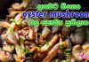 oyster mushrooms වල මෙච්චර සෞඛ්ය ප්රතිලාභ තියෙනවා කියලා ඔබ දැනගෙන හිටියද ?