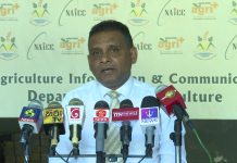 ගෝලීය ඉන්ධන අර්බුදය හමුවේ QR කේතයකින් තොරව ගොවිජනතාවට ඉන්ධන!