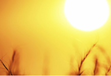 ශ්රී ලංකාව හරහා සූර්යයා කෙළින්ම ඉහළින්…