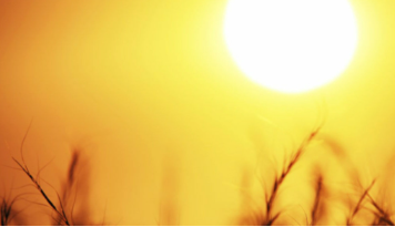 ශ්රී ලංකාව හරහා සූර්යයා කෙළින්ම ඉහළින්…