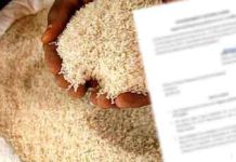 GR 11 සහල් ප්රභේදය ආනයනයට අදාළ ගැසට් නිවේදනය නිකුත් කෙරේ