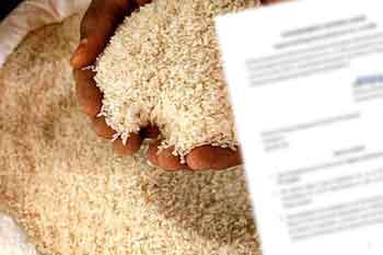 GR 11 සහල් ප්රභේදය ආනයනයට අදාළ ගැසට් නිවේදනය නිකුත් කෙරේ