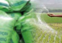 යල කන්නයේ පොහොර දෙන්න ගොවිජන සේවා මධ්යස්ථාන නිවාඩු දිනවලත් විවෘත කෙරේ